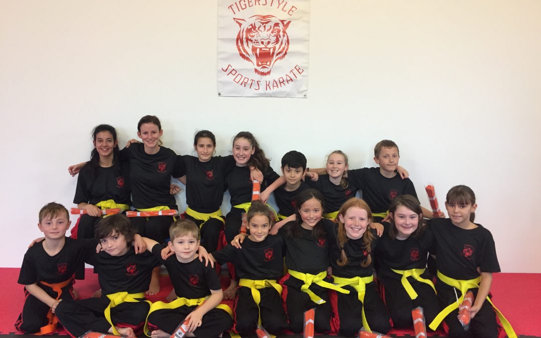 Tigerstyle Gradings – 22nd April