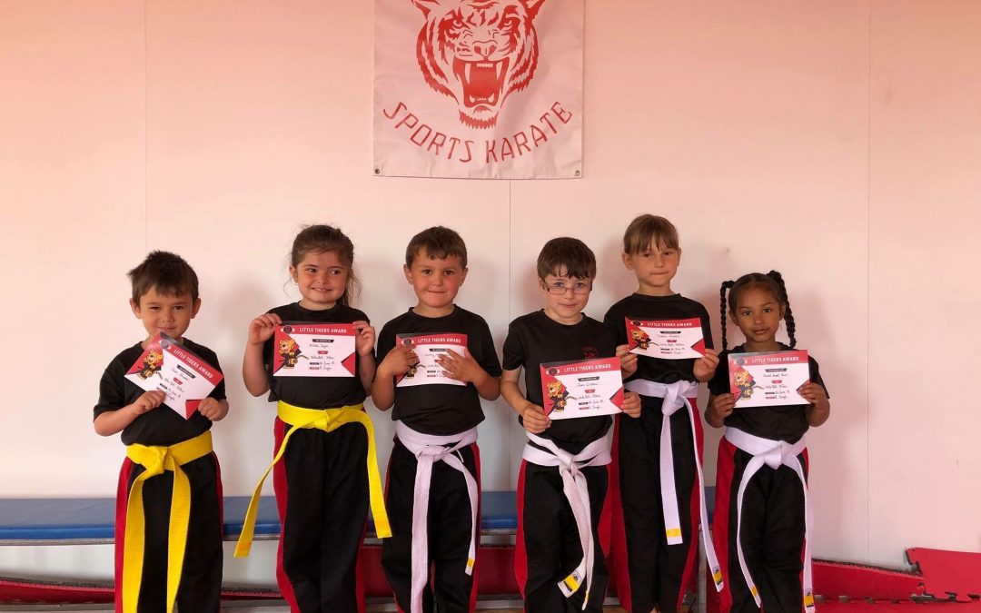 Little Tigers’ Grading Day