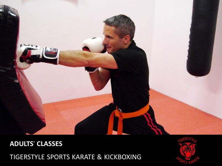 Tigerstyle Sports Karate Adults' Classes