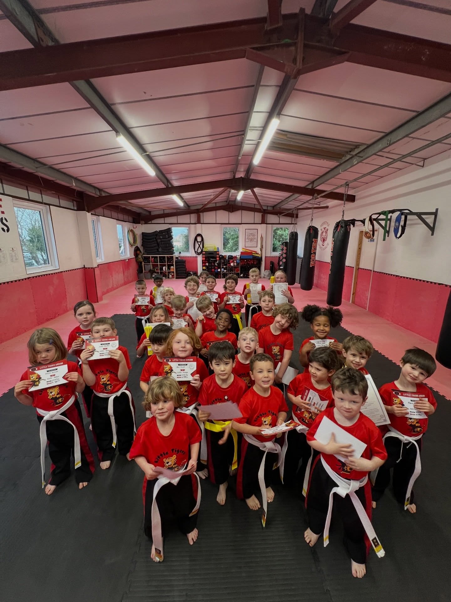 658623223_18098223593474341_5923652018382863542_n Little Tigers' Classes